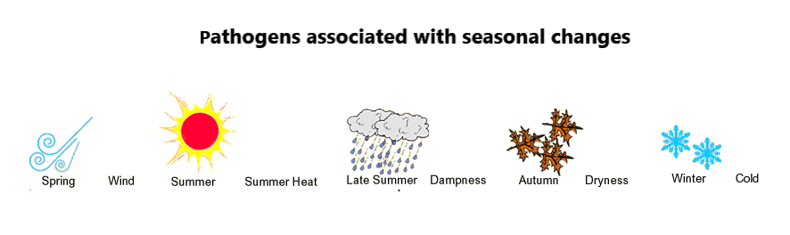 Seasonal changes and the dominant pathogens 
